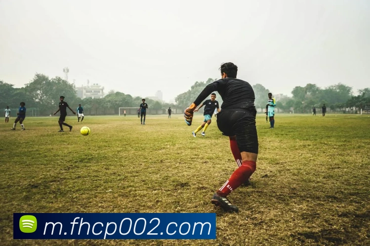 凤凰彩票官网平台APP 高清赛事图